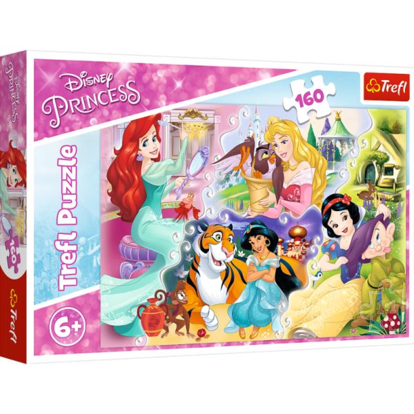 Princesses and Friends 15364 160 Parça