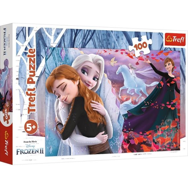 Together Forever Disney Frozen II 16399 100 Parça