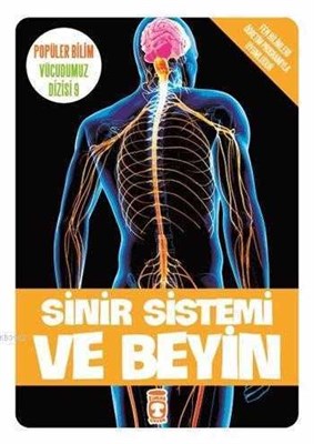 Sinir Sistemi ve Beyin  Vücudumuz Dizisi