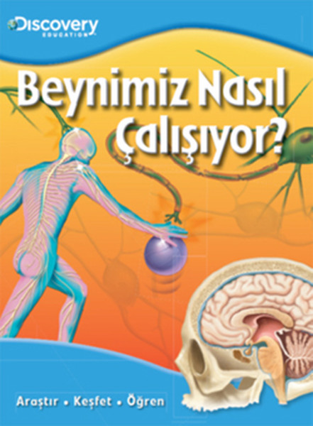 Dıscovery Education Beynimiz Nasıl Çalışıyor