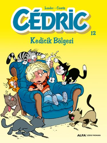 Cedric 12  Kedicik Bölgesi