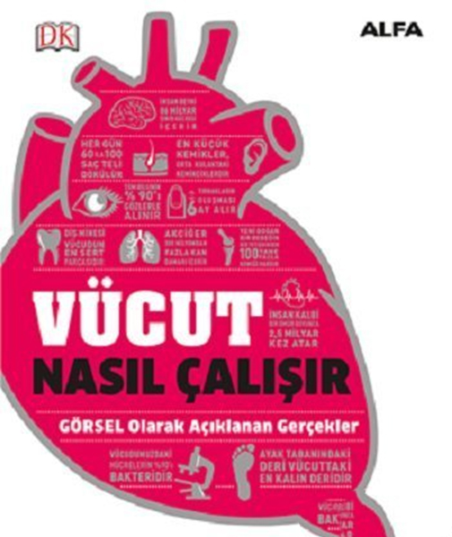 Vücut Nasıl Çalışır