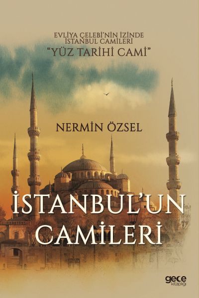 İstanbulun Camileri