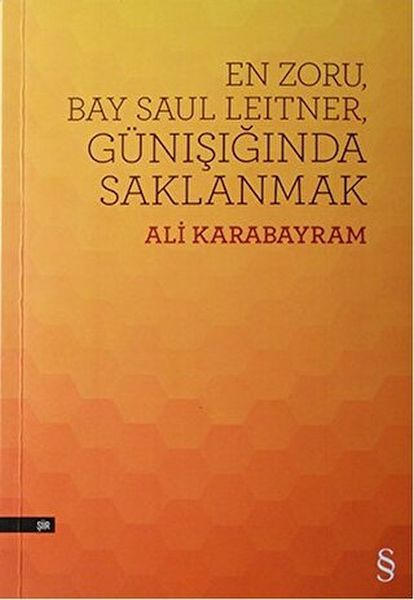 En Zoru Bay Saul Leitner Günışığında Saklanmak