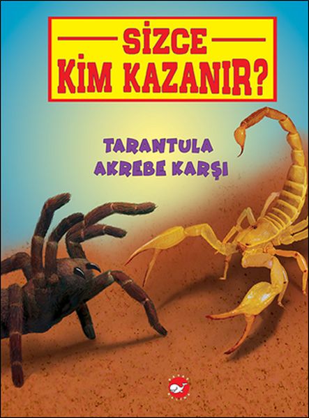 Sizce Kim Kazanır  Tarantula Akrebe Karşı