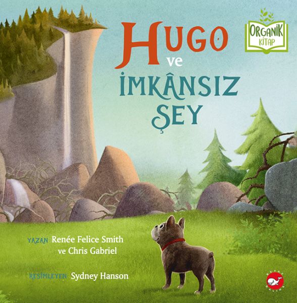 Hugo ve İmkânsız Şey  Organik Kitaplar