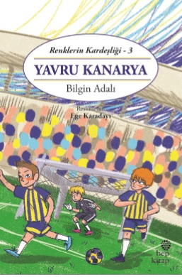 Renklerin Kardeşliği 3  Yavru Kanarya