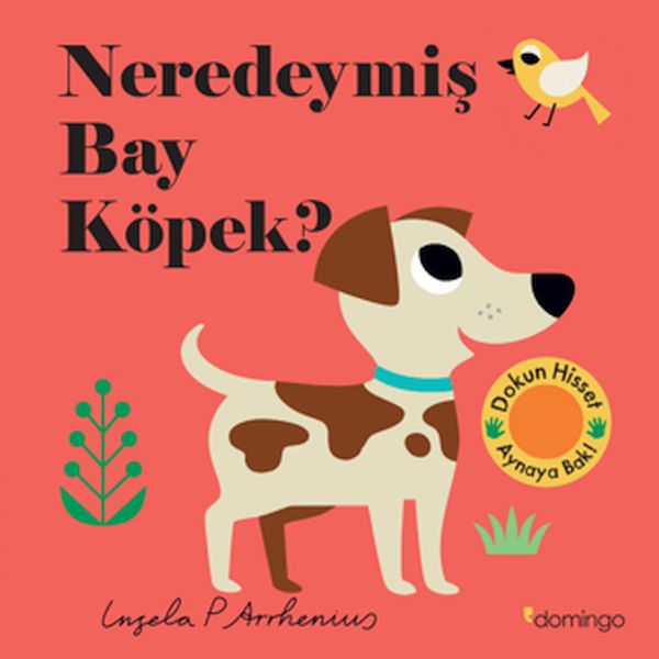 Neredeymiş Bay Köpek