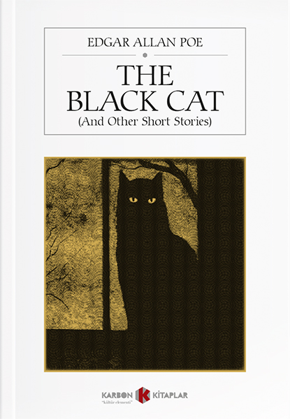 The Black Cat And other short stories