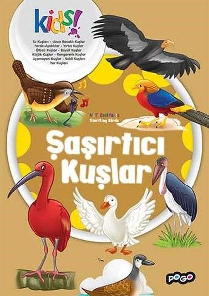 Şaşırtıcı Kuşlar