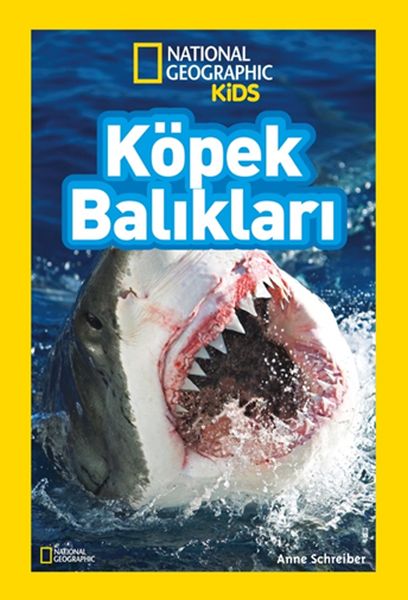 Köpek Balıkları  National Geographic Kids