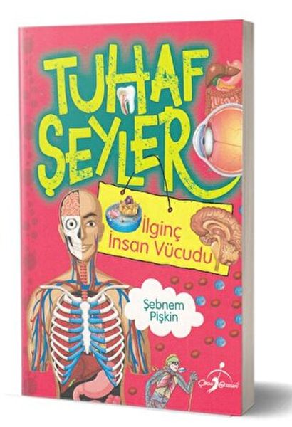 Tuhaf Şeyler  İlginç İnsan Vücudu