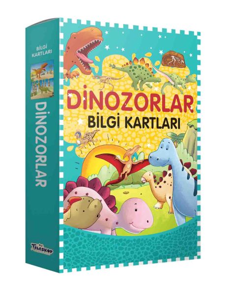 Bilgi Kartları  Dinozorlar