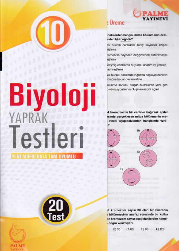 Palme 10 Sınıf Biyoloji Yaprak Test Yeni