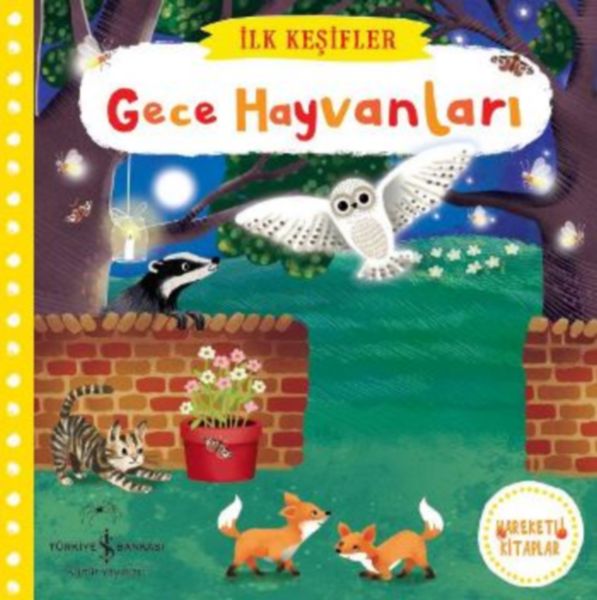 İlk Keşifler  Gece Hayvanları Ciltli