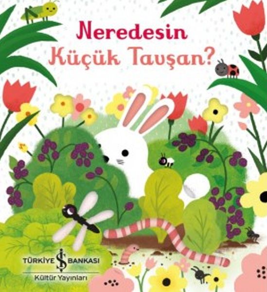 Neredesin Küçük Tavşan