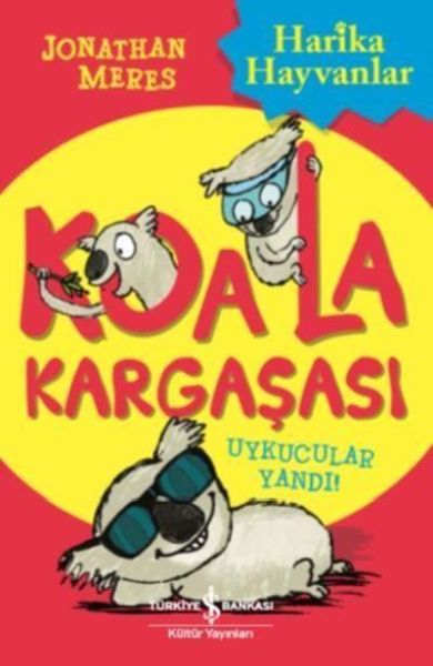 Koala Kargaşası  Uykucular Yandı