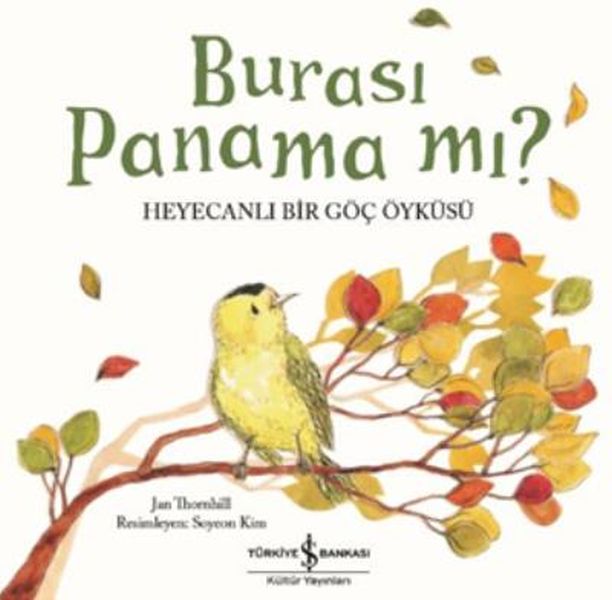 Burası Panama mı  Heyecanlı Bir Göç Öyküsü