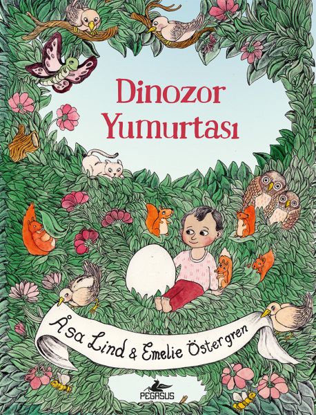 Dinozor Yumurtası Ciltli