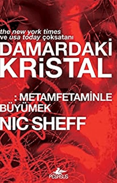 Damardaki Kristal Metamfetaminle Büyümek