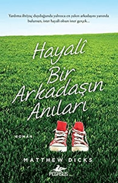 Hayali Bir Arkadaşın Anıları