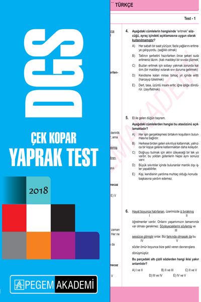 2018 DGS Çek Kopar Yaprak Test