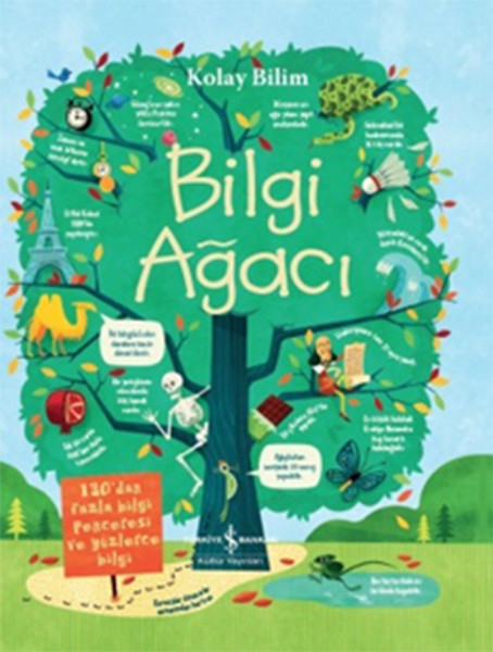 Kolay Bilim  Bilgi Ağacı