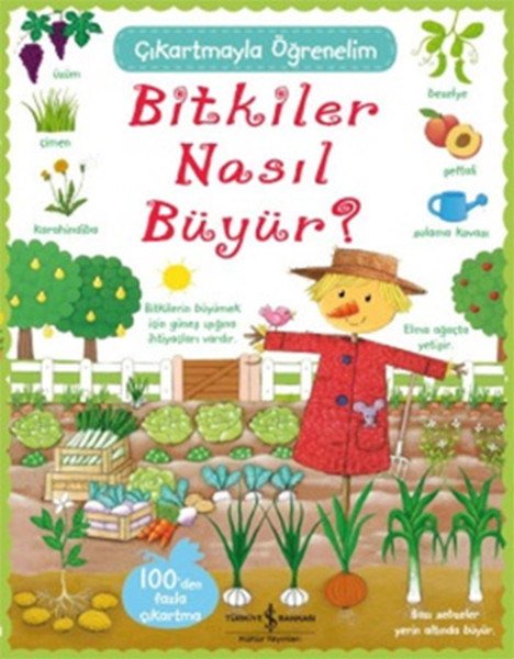 Çıkartmayla Öğrenelim Bitkiler Nasıl Büyür