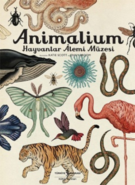 Animalium  Hayvanlar Alemi Müzesi