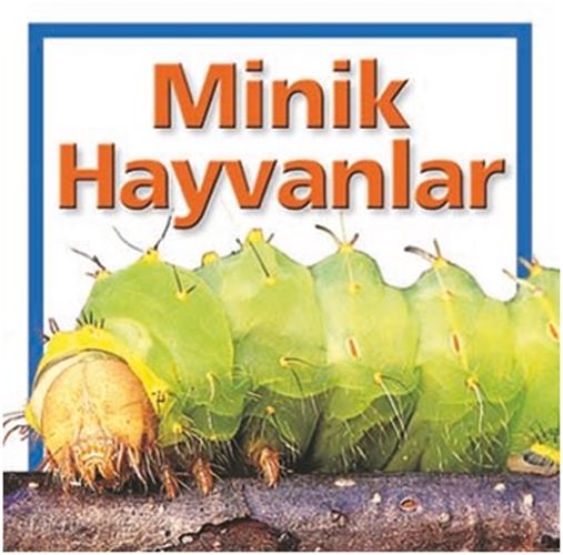 Minik Hayvanlar