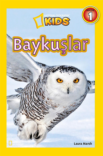 National Geographic Kids  Baykuşlar