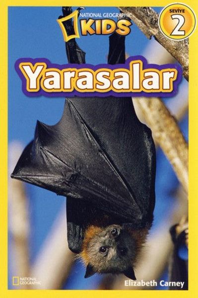 National Geographic Kids  Yarasalar