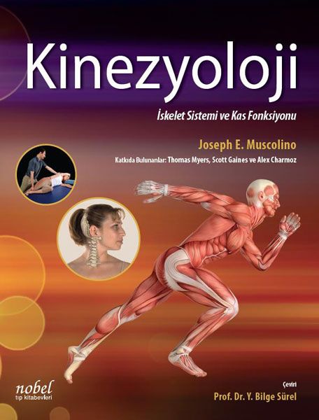 Kinezyoloji İskelet Sistemi ve Kas Fonksiyonu Ciltli