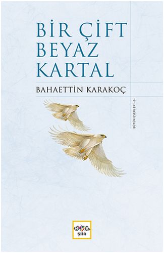 Bir Çift Beyaz Kartal Ciltli