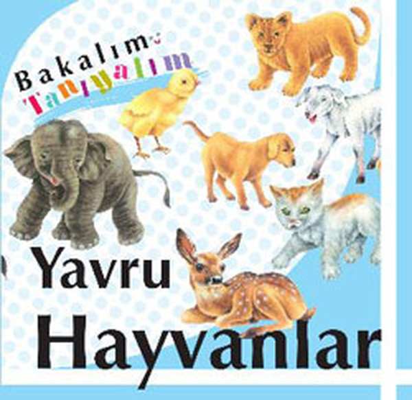 Bakalım Tanıyalım Yavru Hayvanlar Ciltli