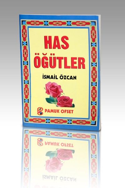 Has Öğütler KodK532P11