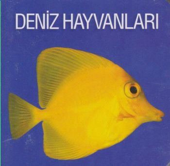 Deniz Hayvanları