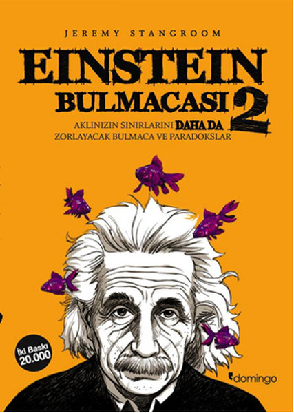 Einstein Bulmacası 2  Aklınızın Sınırlarını Zorlayacak Bulmaca ve Paradokslar