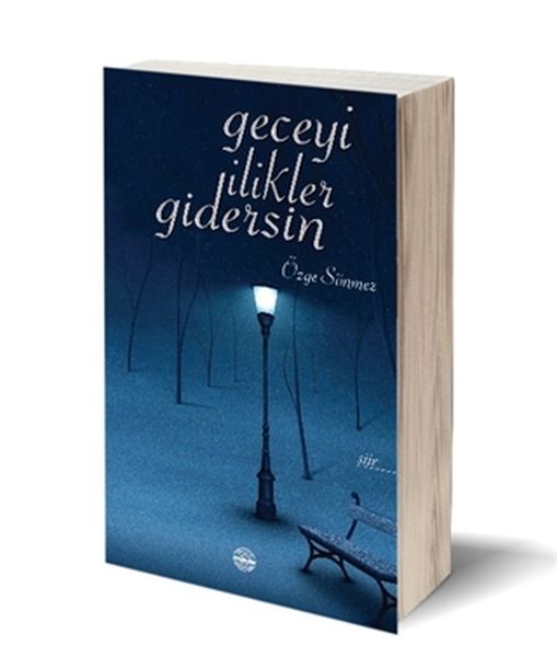 Geceyi İlikler Gidersin