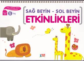 Sağ Beyin  Sol Beyin Etkinlikleri 5 Yaş