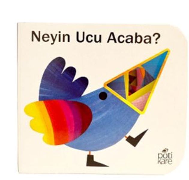 Neyin Ucu Acaba