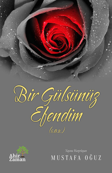 Bir Gülsünüz Efendim sav