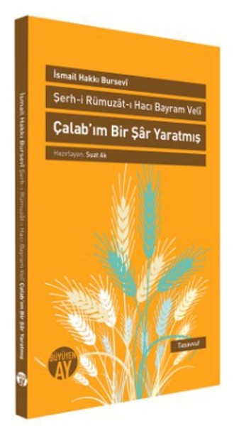 Şerhi Rümuzatı Hacı Bayram Veli Çalabım Bir Şar Yaratmış