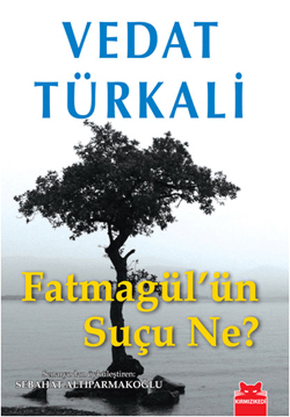 Fatmagülün Suçu Ne