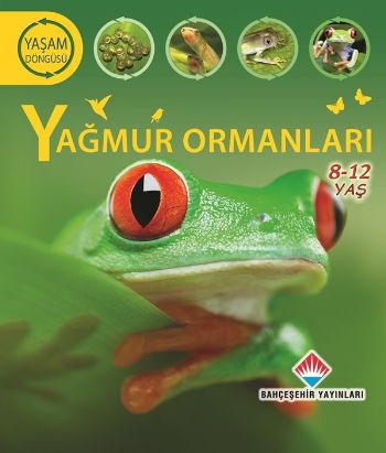 Yaşam Döngüsü  Yağmur Ormanları 812 Ages