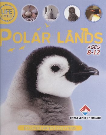 Life Cycles  Polar Lands 812 Ages