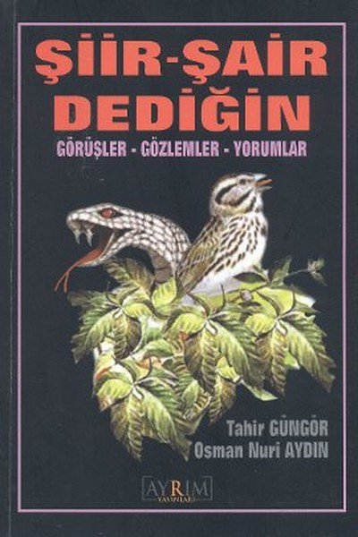 Şiir  Şair Dediğin