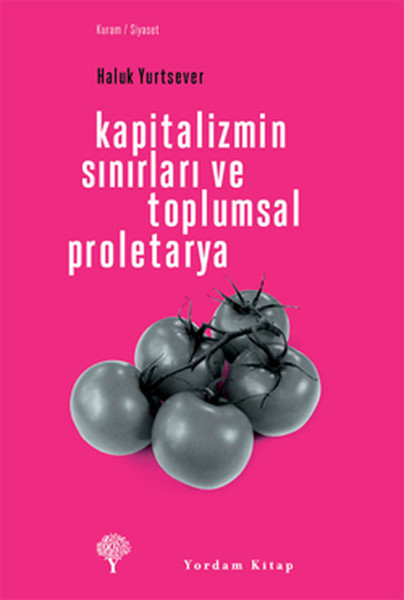 Kapitalizmin Sınırları ve Toplumsal Proletarya