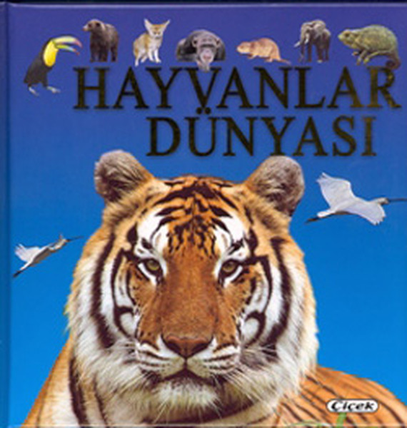 Hayvanlar Dünyası