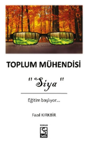 Toplum Mühendisi